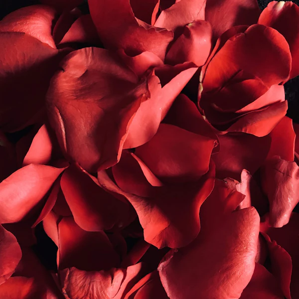 Full Rose Petal Room