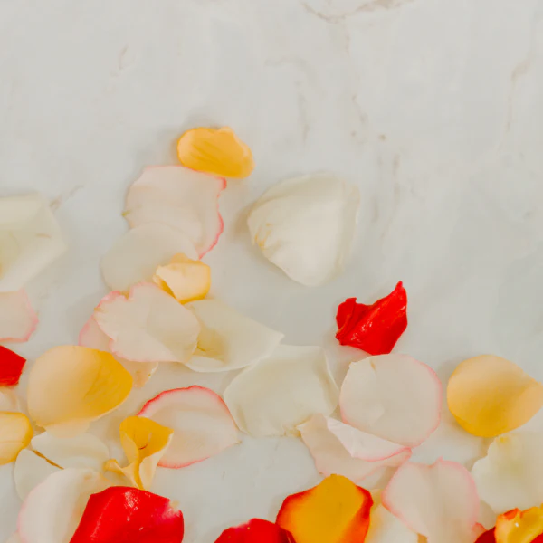 Pastel Petal Decoration